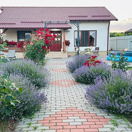 Mountain View House בית נופש