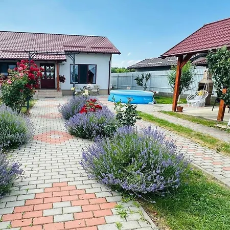 Сasa de vacaciones Mountain View House *