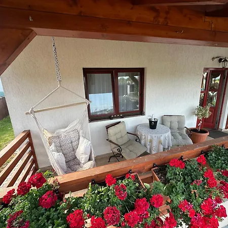 Mountain View House בראשוב