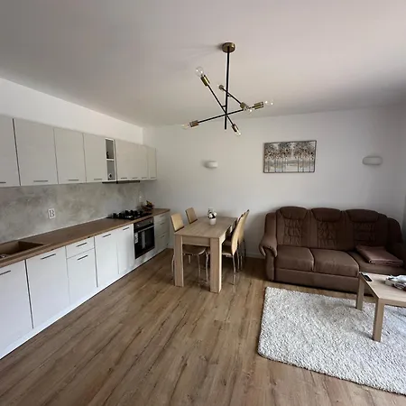 Mountain View House 펜션 브라쇼브