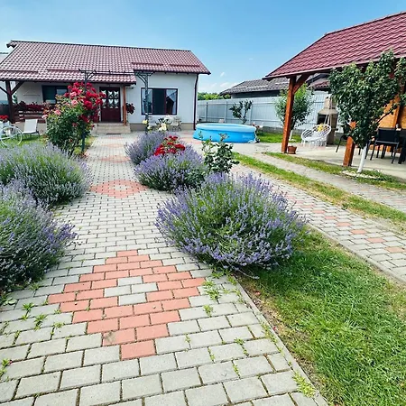Mountain View House * בראשוב