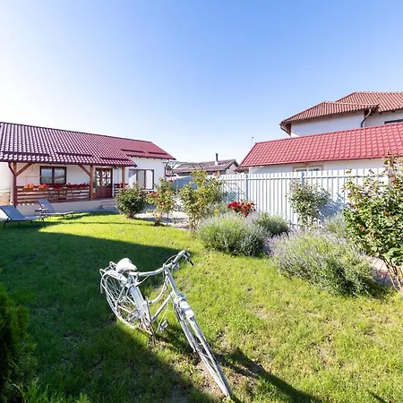 Mountain View House בראשוב
