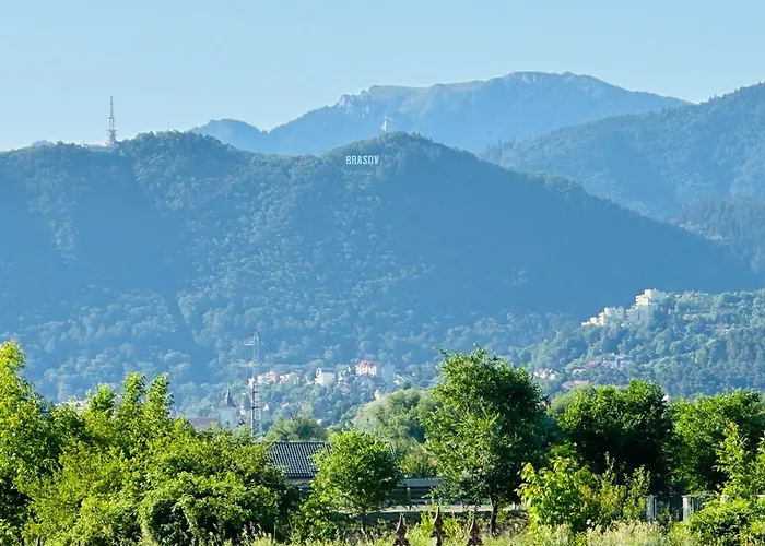 Mountain View House *