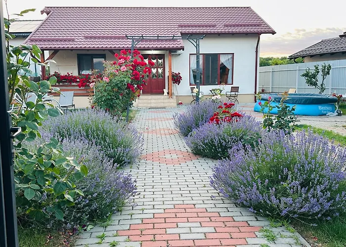 Mountain View House Nyaraló