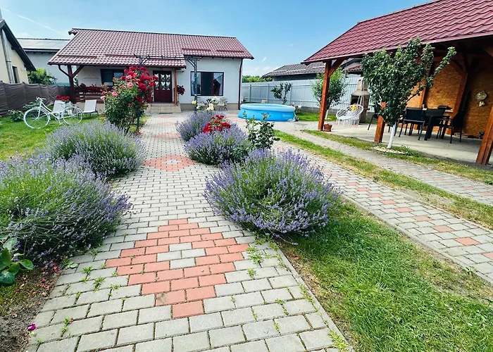 Mountain View House * Braşov