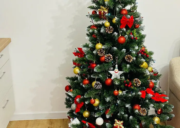 Mountain View House Hébergement de vacances Braşov